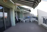 Perunika foto 23