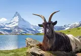 Zwitserse bergtoppen en meren foto 3