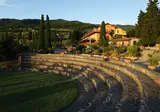 Fattoria Degli Usignoli Hotel & Residence foto 7