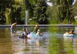 Camping Papillon Kinrooi foto 21