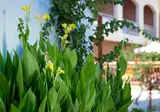 Katrin Hotel & Bungalows foto 24