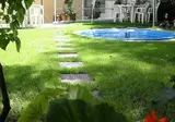 Brezina foto 5