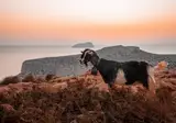 Ontdek de noordkust van Kreta foto 5