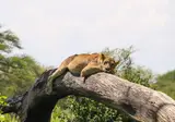 Ontdek Tanzania foto 6