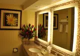 Radisson Aquatica Resort Barbados foto 17