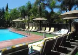 Hollywood Hotel foto 10