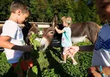 Slovenia Eco Resort foto 2