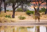 Tanzania Compleet foto 4