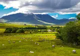 Ierland, 40 tinten groen foto 8