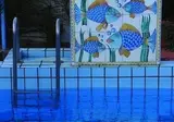 Cesotta foto 30