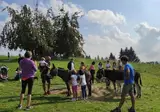 Camping Ekar Asiago foto 22