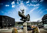 Ontdek Tromsø en de Noordkaap foto 24