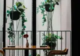 Umbral Curio Collection By Hilton foto 24
