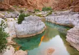 The Adventurous Oman Experience foto 2