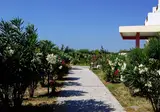 Evripides Village foto 6