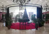 Grand Pasha Hotel & Spa foto 16