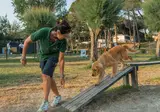 Spina Family Camping Village foto 17