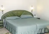 Kaktus Albir foto 16