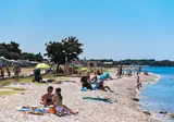 Pineta foto 3