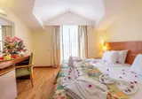 Viking Park Hotel & Spa foto 29