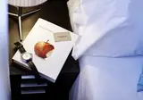 The Cook Book Gastro Boutique Hotel & SPA foto 28