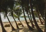 Ether Tulum foto 3