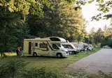 Forest Camping Mozirje foto 11