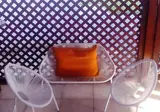 Flor da Laranja foto 18