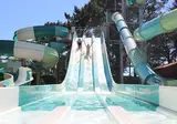 Camping Le Chaponnet foto 1