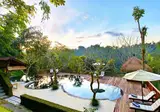 Nandini Jungle by Hanging Gardens foto 2