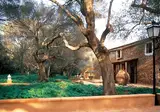 Agroturismo Ca'n Gaia foto 8