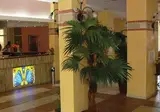Yavor Palace Hotel foto 13