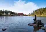 Alpirsbach in het Zwarte Woud foto 3