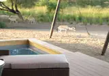 Desert Islands Resort & Spa by Anantara foto 29