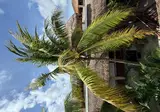 Hotel Kin Ha Tulum foto 23