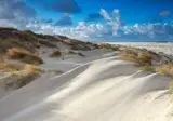 Two Brothers Noordwijk Beach foto 39