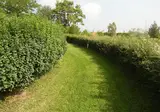 Villa Ducci foto 27