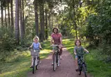 Hub Resorts Drentse Weelde foto 6