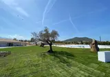 S'Arena Beach Oasis Hotel foto 23