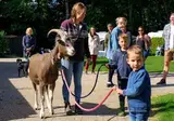 Vodatent Boerderijcamping de Hinde foto 6
