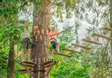 Domaine des Ormes foto 5