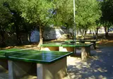 Camping Castell D Aro foto 7