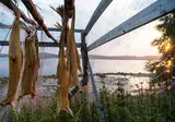 Ontdek Tromsø en de Noordkaap foto 20