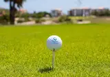Blue Bay Curacao Golf & Beach Resort foto 11
