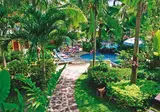 The Viridian Resort foto 15