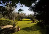 Baglio della Luna foto 17