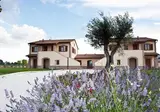 Le Rondini di Francesco di Assisi foto 3