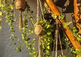 Arte Sano foto 8