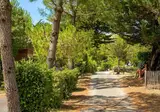 Camping De La Plage De Riez foto 12