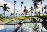 Bali, Gili en Lombok foto 2